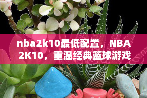 nba2k10最低配置，NBA 2K10，重温经典篮球游戏的配置要求