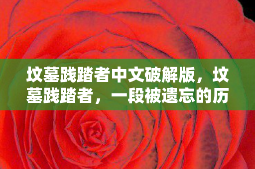 坟墓践踏者中文破解版，坟墓践踏者，一段被遗忘的历史