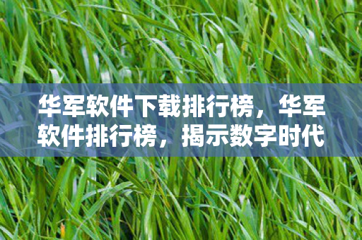 华军软件下载排行榜，华军软件排行榜，揭示数字时代的应用王者