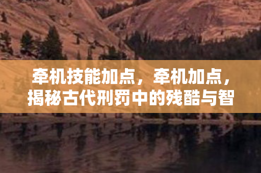 牵机技能加点，牵机加点，揭秘古代刑罚中的残酷与智慧