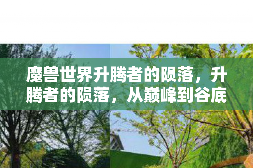 魔兽世界升腾者的陨落，升腾者的陨落，从巅峰到谷底的自媒体人生