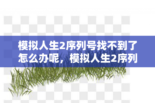 模拟人生2序列号找不到了怎么办呢，模拟人生2序列号，解锁虚拟世界的钥匙