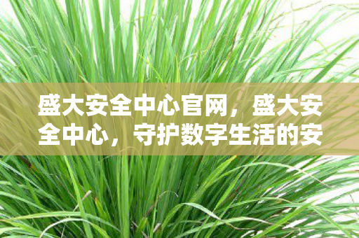 盛大安全中心官网，盛大安全中心，守护数字生活的安全防线