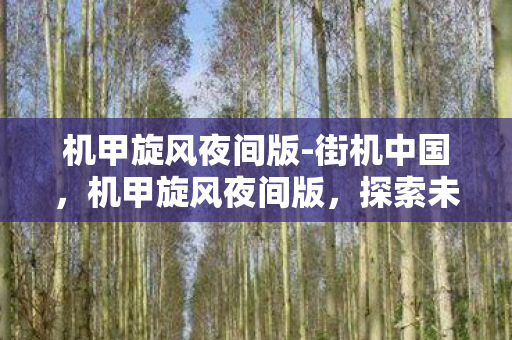 机甲旋风夜间版-街机中国，机甲旋风夜间版，探索未知，挑战极限