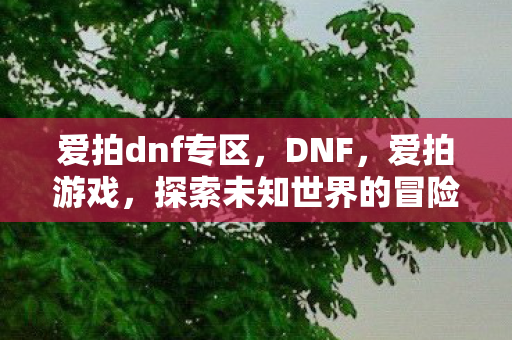 爱拍dnf专区，DNF，爱拍游戏，探索未知世界的冒险之旅