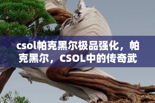 csol帕克黑尔极品强化，帕克黑尔，CSOL中的传奇武器