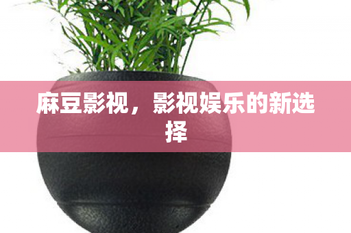 麻豆影视，影视娱乐的新选择