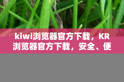 kiwi浏览器官方下载,KR浏览器官方下载,安全、便捷、高效的浏览器选择 kiwi浏览器官方下载,KR浏览器官方下载,安全、便捷、高效的浏览器选择