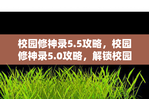 校园修神录5.5攻略，校园修神录5.0攻略，解锁校园传奇，成就修神之路