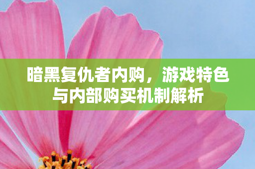 暗黑复仇者内购，游戏特色与内部购买机制解析