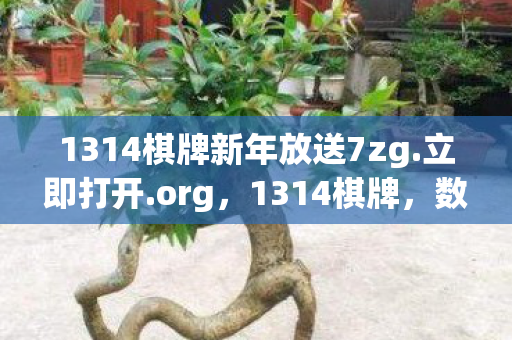 1314棋牌新年放送7zg.立即打开.org，1314棋牌，数字背后的情感与博弈