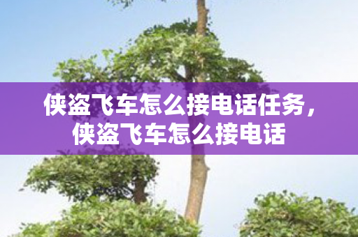 侠盗飞车怎么接电话任务，侠盗飞车怎么接电话