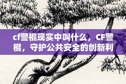 cf警棍现实中叫什么，CF警棍，守护公共安全的创新利器