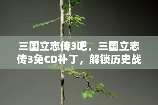 三国立志传3吧，三国立志传3免CD补丁，解锁历史战役的钥匙
