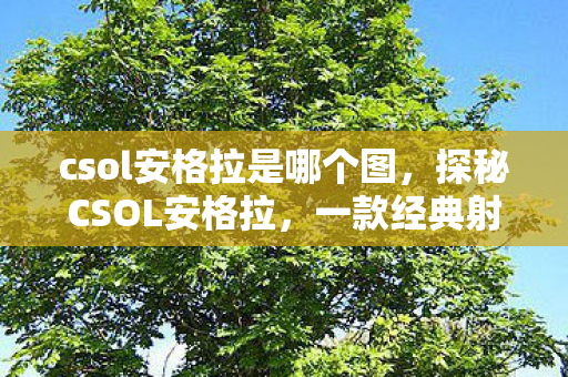 csol安格拉是哪个图，探秘CSOL安格拉，一款经典射击游戏的魅力与传奇