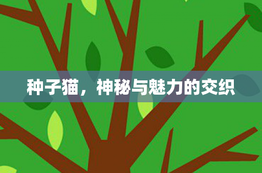 种子猫,神秘与魅力的交织 种子猫,神秘与魅力的交织