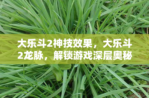 大乐斗2神技效果，大乐斗2龙脉，解锁游戏深层奥秘
