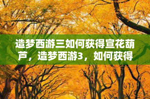 造梦西游三如何获得宣花葫芦，造梦西游3，如何获得宣花袍？