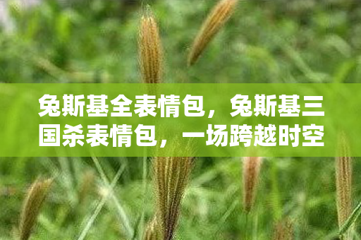 兔斯基全表情包，兔斯基三国杀表情包，一场跨越时空的幽默盛宴