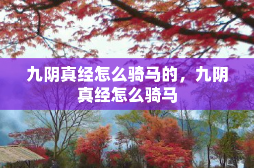 九阴真经怎么骑马的，九阴真经怎么骑马