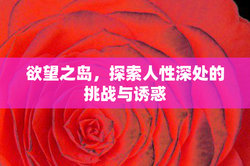欲望之岛，探索人性深处的挑战与诱惑