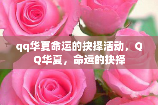 qq华夏命运的抉择活动，QQ华夏，命运的抉择