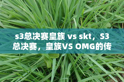 s3总决赛皇族 vs skt，S3总决赛，皇族VS OMG的传奇对决