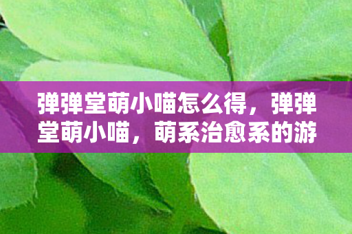 弹弹堂萌小喵怎么得，弹弹堂萌小喵，萌系治愈系的游戏精灵