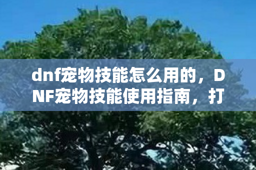 dnf宠物技能怎么用的，DNF宠物技能使用指南，打造最强战斗伙伴