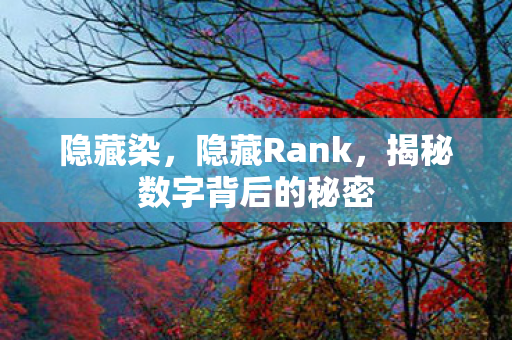 隐藏染,隐藏Rank,揭秘数字背后的秘密 隐藏染,隐藏Rank,揭秘数字背后的秘密