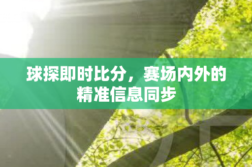 球探即时比分，赛场内外的精准信息同步