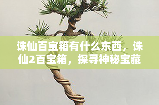 诛仙百宝箱有什么东西，诛仙2百宝箱，探寻神秘宝藏的奇幻之旅