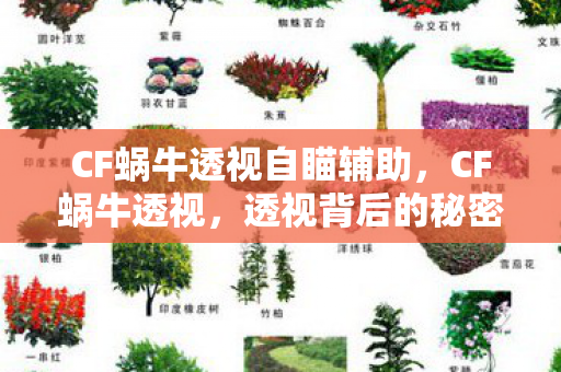 CF蜗牛透视自瞄辅助,CF蜗牛透视,透视背后的秘密与游戏公平性探讨 CF蜗牛透视自瞄辅助,CF蜗牛透视,透视背后的秘密与游戏公平性探讨