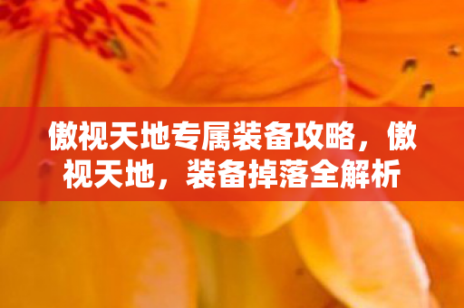 傲视天地专属装备攻略，傲视天地，装备掉落全解析