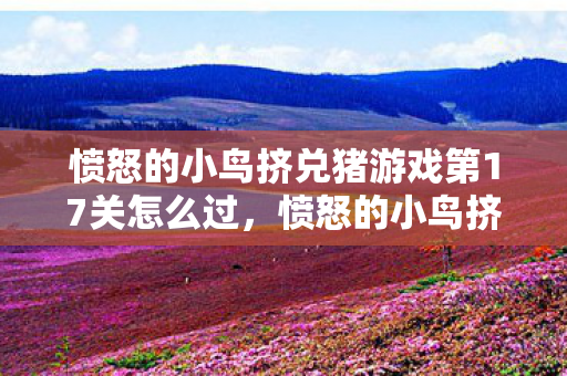 愤怒的小鸟挤兑猪游戏第17关怎么过，愤怒的小鸟挤兑猪，一场虚拟世界的恩怨情仇