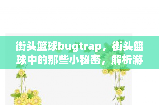 街头篮球bugtrap，街头篮球中的那些小秘密，解析游戏中的BUG与技巧
