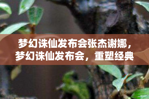 梦幻诛仙发布会张杰谢娜,梦幻诛仙发布会,重塑经典,再续前缘 梦幻诛仙发布会张杰谢娜,梦幻诛仙发布会,重塑经典,再续前缘