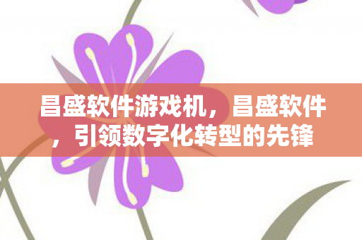 昌盛软件游戏机，昌盛软件，引领数字化转型的先锋