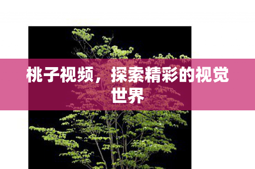 桃子视频，探索精彩的视觉世界