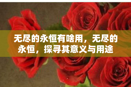 无尽的永恒有啥用，无尽的永恒，探寻其意义与用途