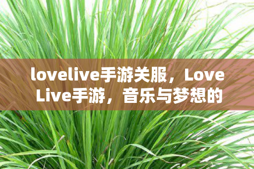 lovelive手游关服，Love Live手游，音乐与梦想的交织之旅