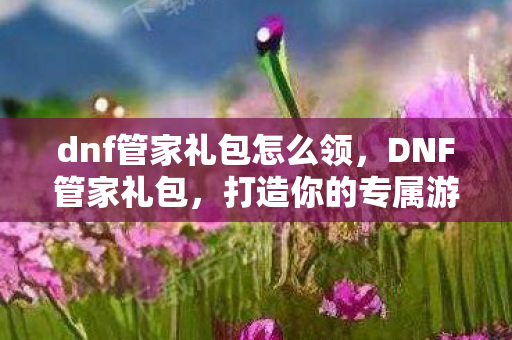 dnf管家礼包怎么领，DNF管家礼包，打造你的专属游戏神器