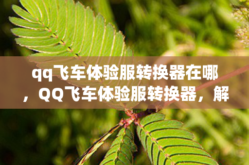 qq飞车体验服转换器在哪，QQ飞车体验服转换器，解锁极速驾驶新体验