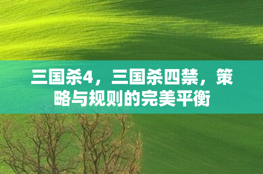 三国杀4，三国杀四禁，策略与规则的完美平衡