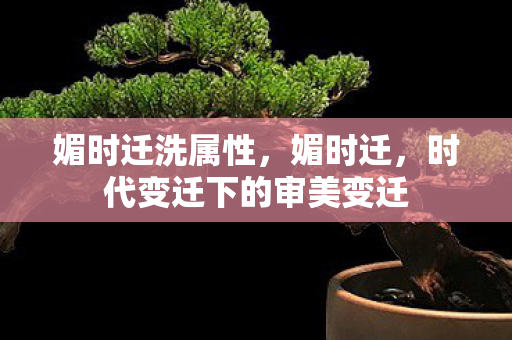 媚时迁洗属性，媚时迁，时代变迁下的审美变迁