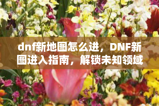 dnf新地图怎么进，DNF新图进入指南，解锁未知领域的冒险
