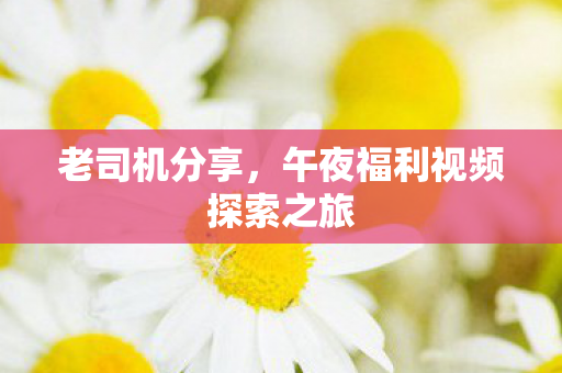 老司机分享,午夜福利视频探索之旅 老司机分享,午夜福利视频探索之旅