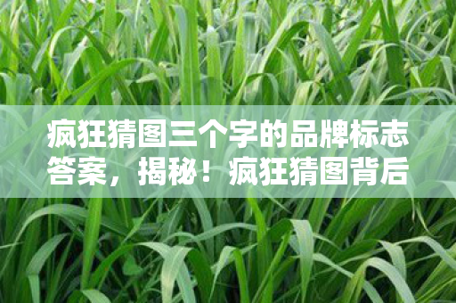 疯狂猜图三个字的品牌标志答案，揭秘！疯狂猜图背后的三个字品牌