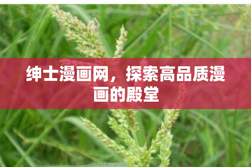 绅士漫画网，探索高品质漫画的殿堂