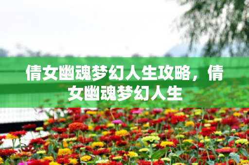 倩女幽魂梦幻人生攻略，倩女幽魂梦幻人生